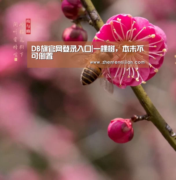 DB旗官网登录入口|一棵树，本末不可倒置
