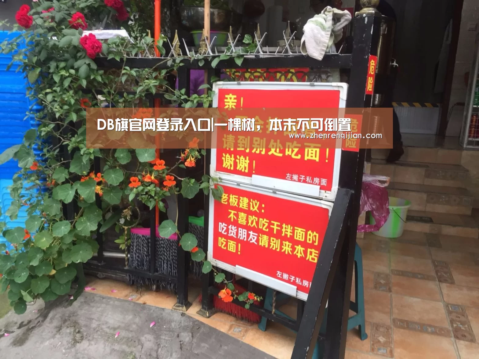 DB旗官网登录入口|一棵树,本末不可倒置(图2) DB中国旗舰官方网站