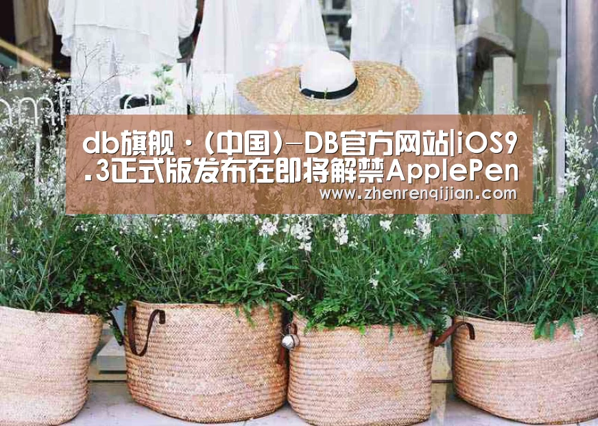 db旗舰·(中国)-DB官方网站|iOS9.3正式版发布在即将解禁ApplePe