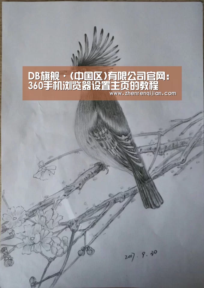 DB旗舰·(中国区)有限公司官网