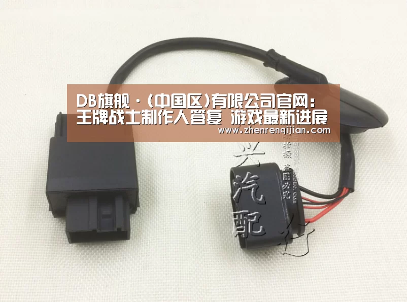 DB旗舰·(中国区)有限公司官网:王牌战士制作人答复 游戏最新进展(图4) DB旗官网登录入口