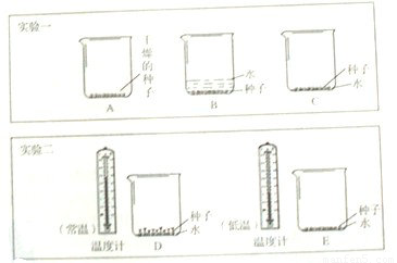 少女整容变马云！一年整容几十次！表示：要跟韩安冉学习，整到老‘DB中国旗舰官方网